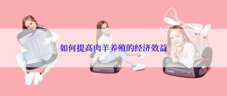 如何提高肉羊养殖的经济效益