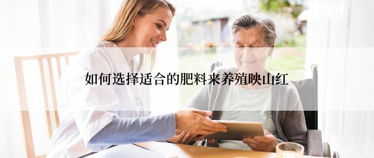 如何选择适合的肥料来养殖映山红