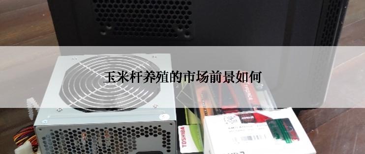 玉米杆养殖的市场前景如何