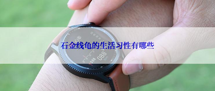 石金线龟的生活习性有哪些