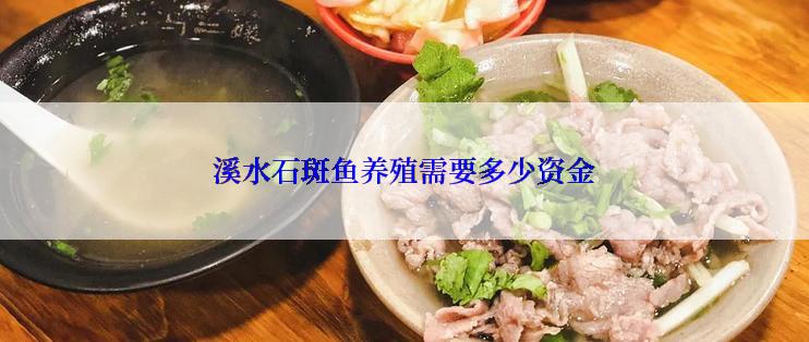 溪水石斑鱼养殖需要多少资金