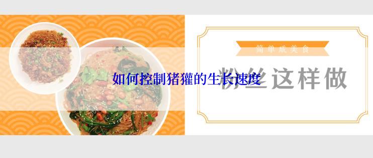 如何控制猪獾的生长速度