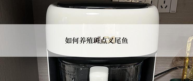 如何养殖斑点叉尾鱼