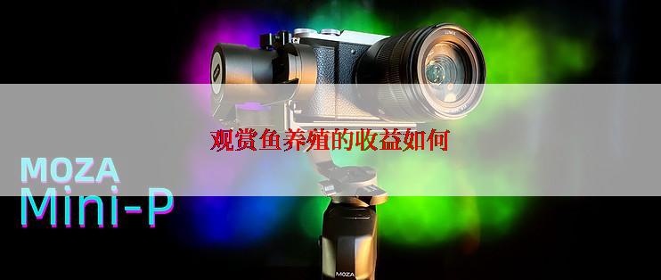 观赏鱼养殖的收益如何