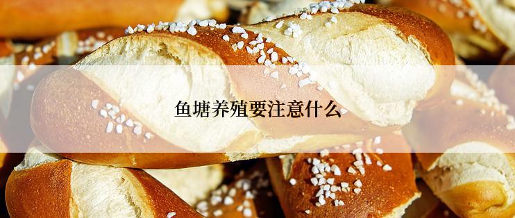 鱼塘养殖要注意什么