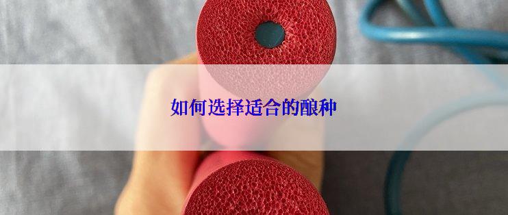 如何选择适合的酿种