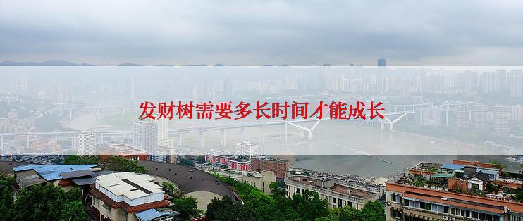 发财树需要多长时间才能成长