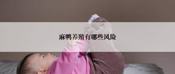 麻鸭养殖有哪些风险