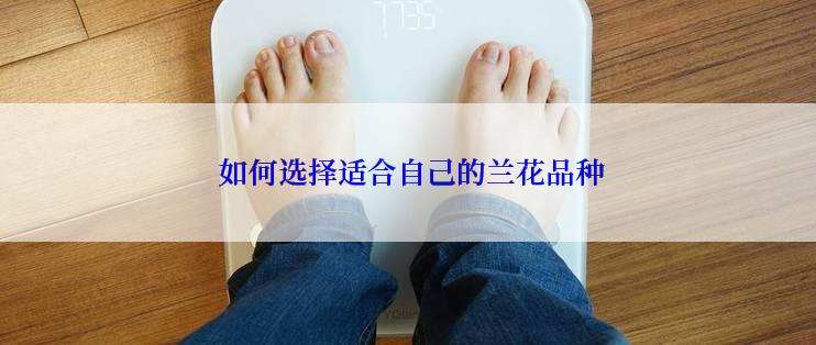  如何选择适合自己的兰花品种