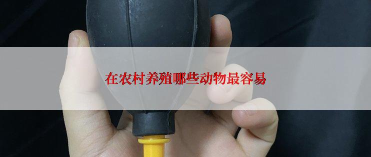 在农村养殖哪些动物最容易