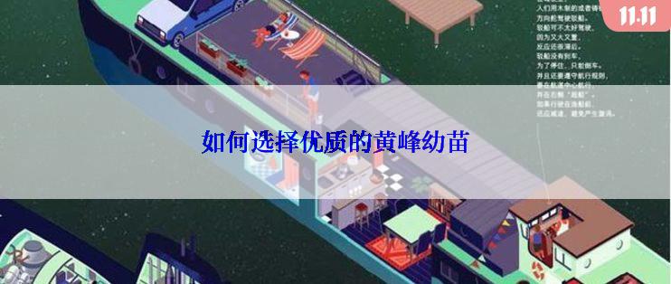 如何选择优质的黄峰幼苗