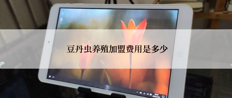  豆丹虫养殖加盟费用是多少