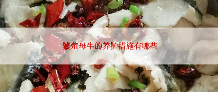  繁殖母牛的养护措施有哪些