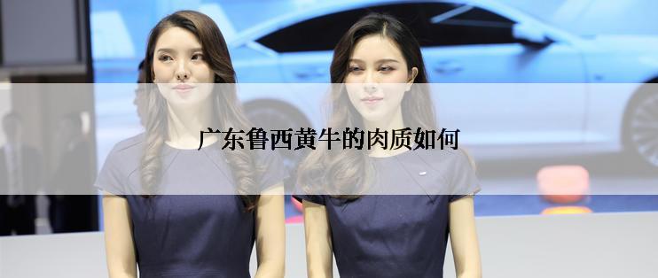 广东鲁西黄牛的肉质如何