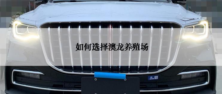  如何选择澳龙养殖场