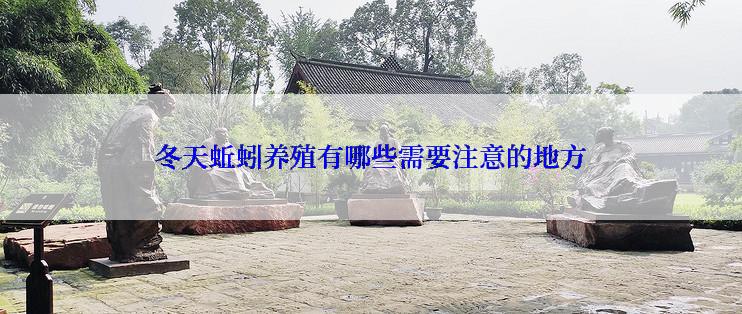冬天蚯蚓养殖有哪些需要注意的地方
