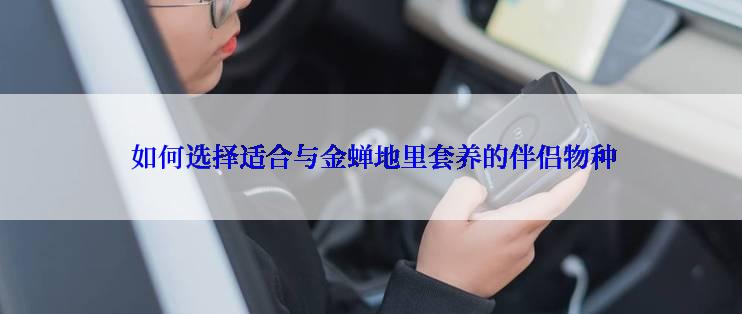  如何选择适合与金蝉地里套养的伴侣物种