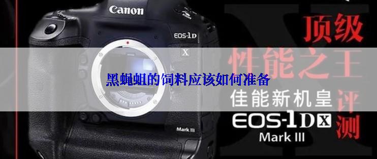 黑蝇蛆的饲料应该如何准备