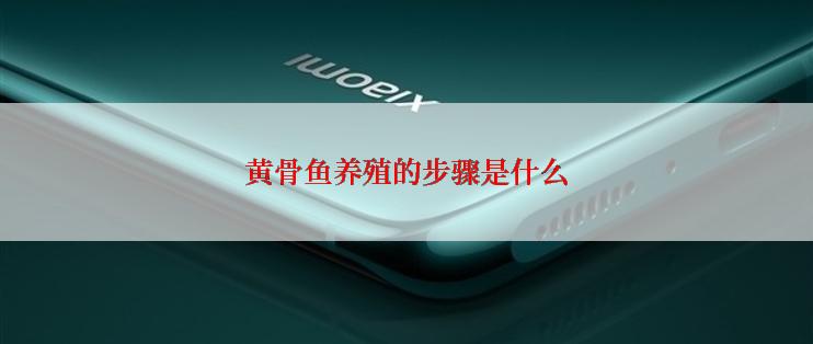 黄骨鱼养殖的步骤是什么