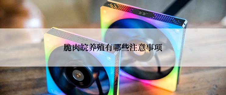 脆肉皖养殖有哪些注意事项