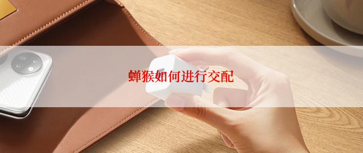 蝉猴如何进行交配