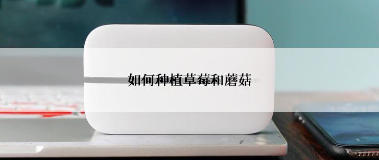 如何种植草莓和蘑菇