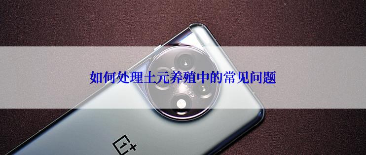 如何处理土元养殖中的常见问题