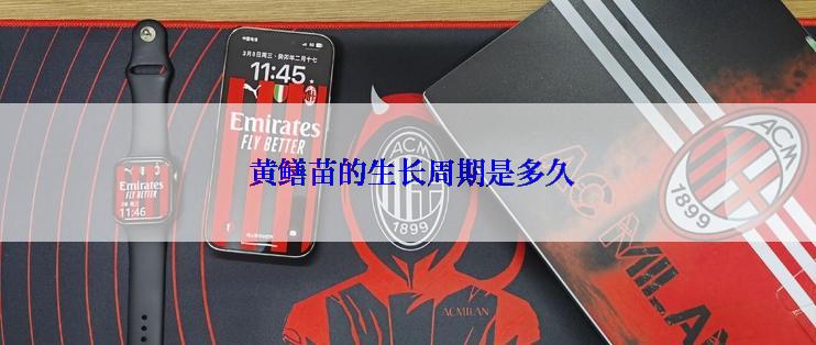  黄鳝苗的生长周期是多久
