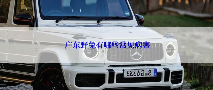  广东野兔有哪些常见病害