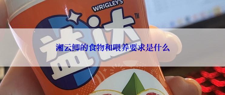 湘云鲫的食物和喂养要求是什么