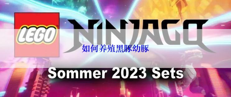 如何养殖黑豚幼豚