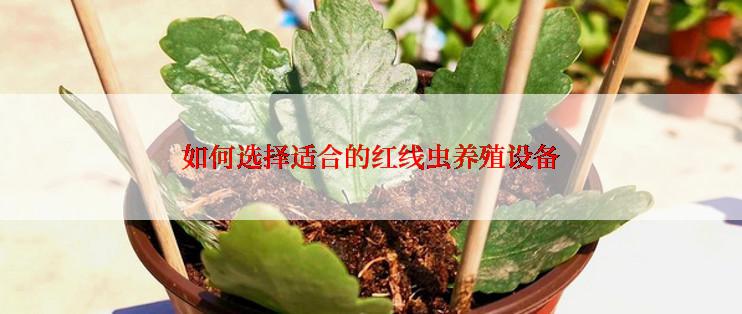 如何选择适合的红线虫养殖设备