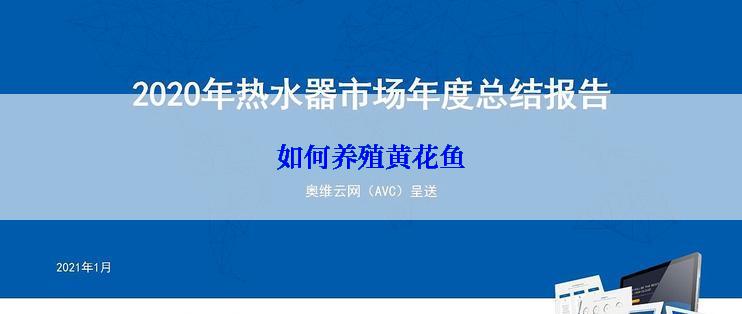 如何养殖黄花鱼