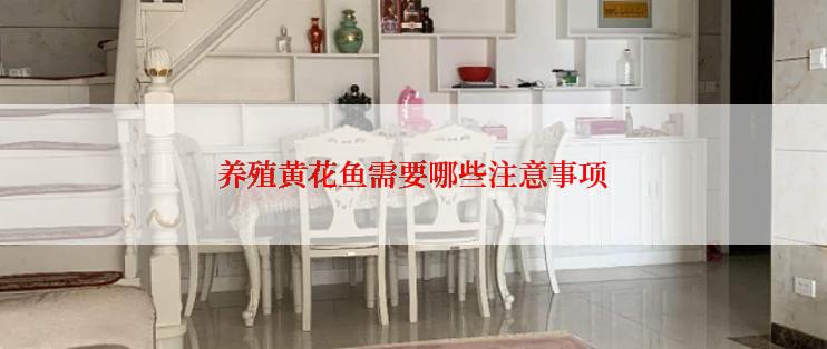 养殖黄花鱼需要哪些注意事项