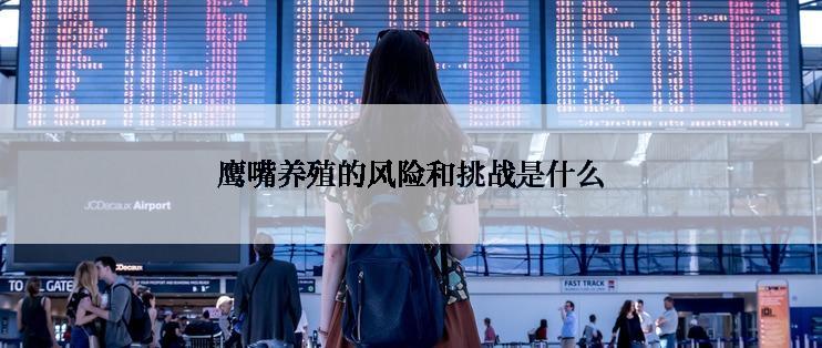 鹰嘴养殖的风险和挑战是什么