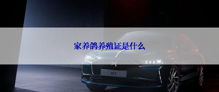 家养鸽养殖证是什么