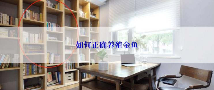 如何正确养殖金鱼