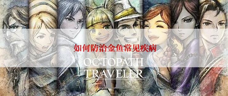  如何防治金鱼常见疾病