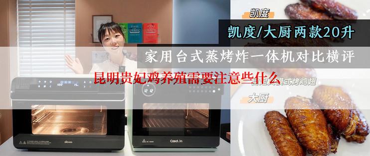  昆明贵妃鸡养殖需要注意些什么