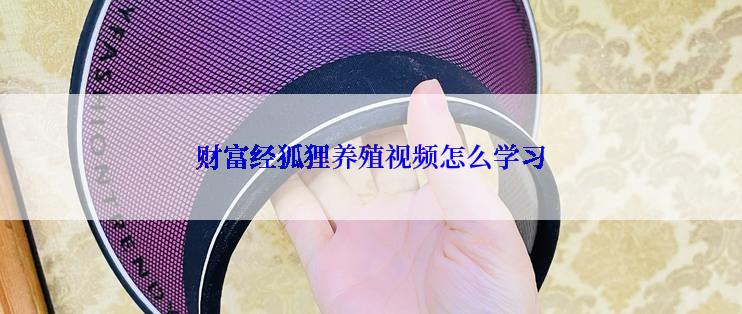 财富经狐狸养殖视频怎么学习