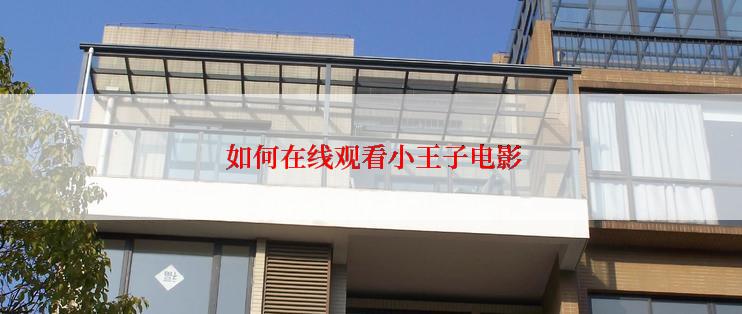  如何在线观看小王子电影