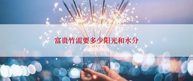 富贵竹需要多少阳光和水分
