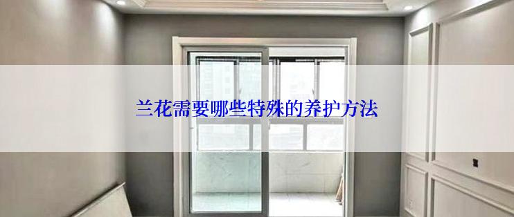 兰花需要哪些特殊的养护方法