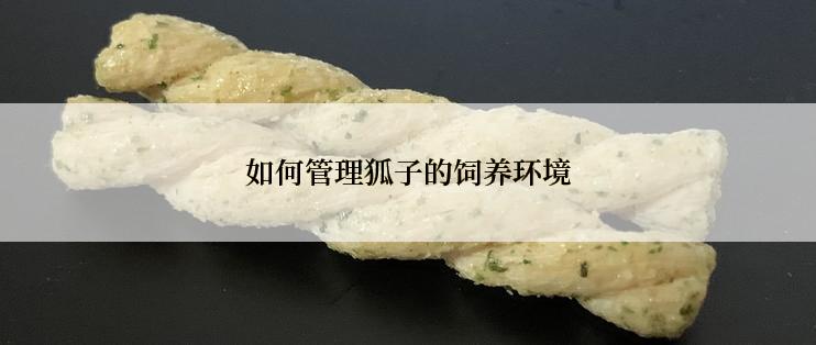 如何管理狐子的饲养环境