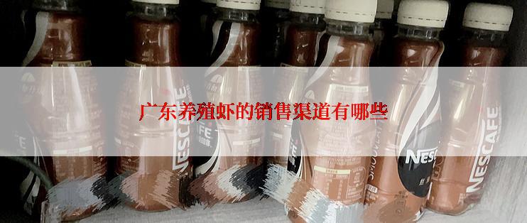 广东养殖虾的销售渠道有哪些