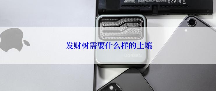  发财树需要什么样的土壤