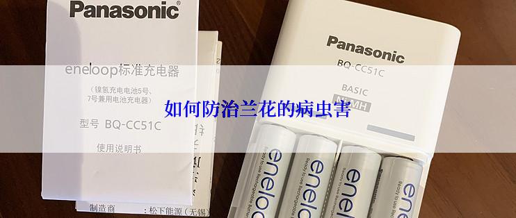 如何防治兰花的病虫害