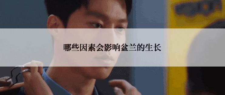 哪些因素会影响盆兰的生长