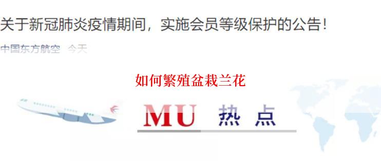 如何繁殖盆栽兰花