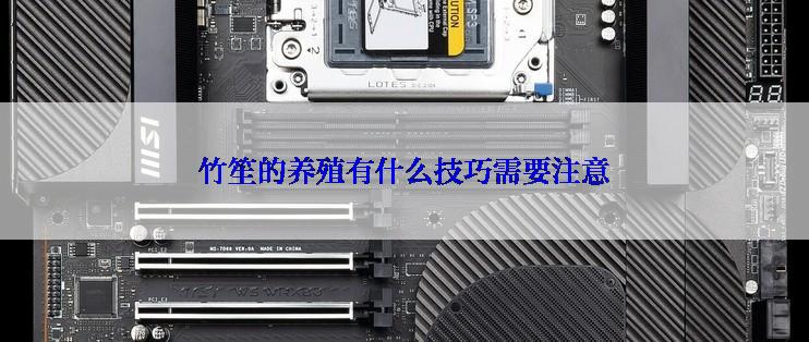 竹笙的养殖有什么技巧需要注意